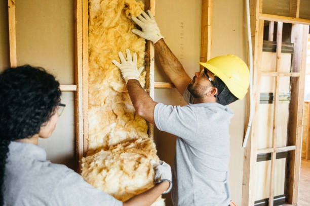 Types of Insulation We Offer in Metter, GA